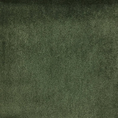 Belvedere-Byron Plush Sateen Velvet Fabric