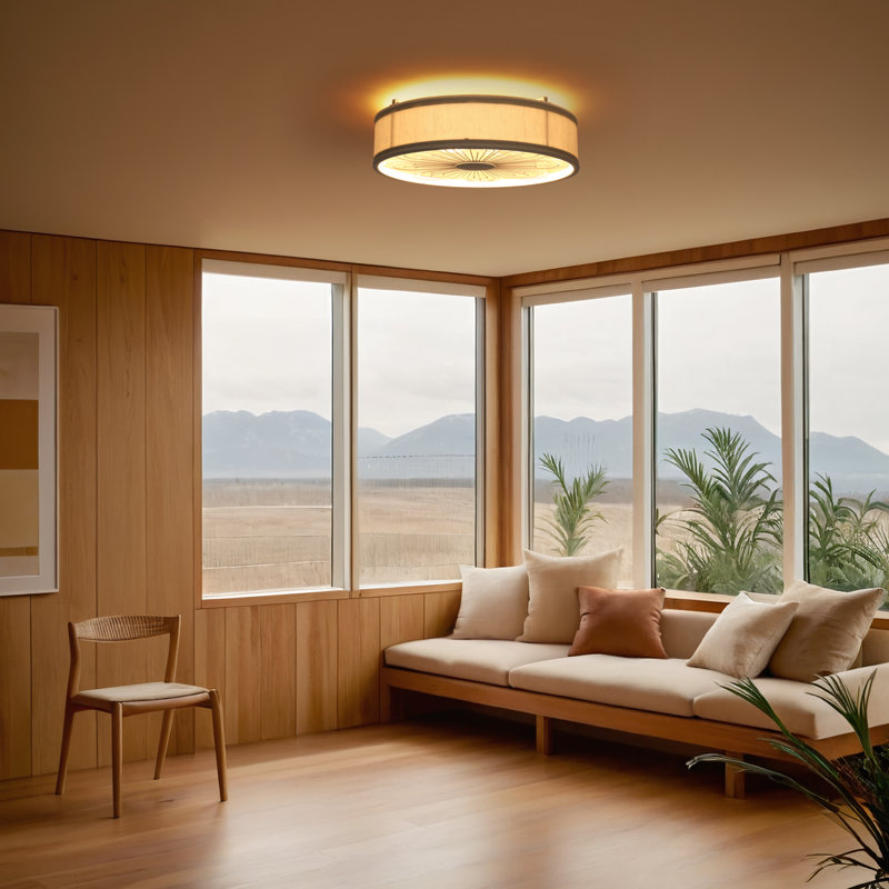 19.6'' Ceiling Fan with Light Kit and Remote Control Included