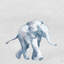 «Quiet Elephant II», impression sur toile-1636340404