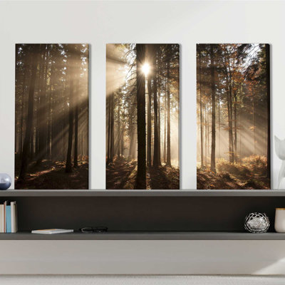 " Autumn Morning In Forest " 3 - Pieces