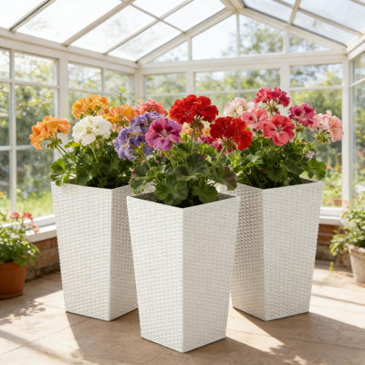 Jardinières en polyéthylène durable, ensemble de 3, design moderne en rotin pour jardin