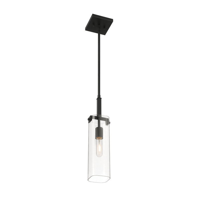 Winfield 1-Light Mini-Pendant, Matte Black