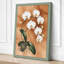 White Orchid Study Botanical - Wrapped Canvas-56428960-56428964