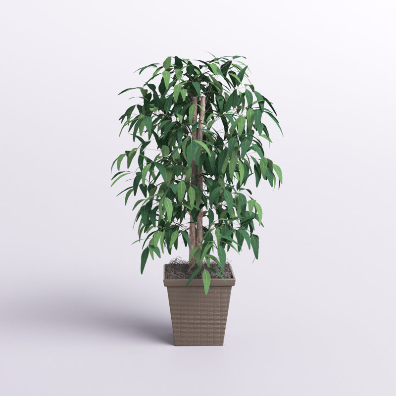 Mangue artificielle en pot 48 ", Brun