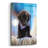" Black Lab Pup 12 " by Jonathan Ross-1310988315