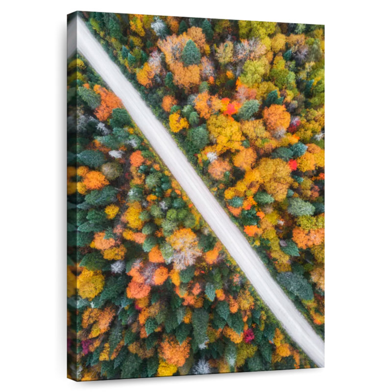 Mehar Canada Autumn Road, 51" H x 34" W