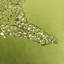 Housse de coussin décoratif léopard-111238404