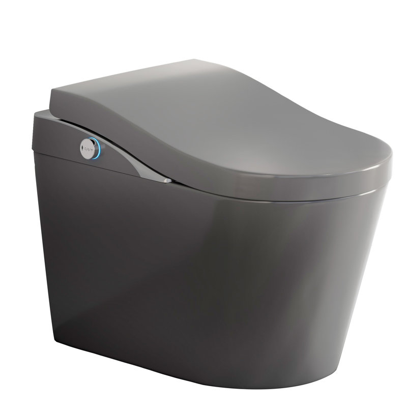 Toilette intelligente sans réservoir avec bidet, chasse d'eau automatique, ouverture / fermeture automatique, siège chauffant, eau chaude et sèche, fonction de bouclier en mousse blanche, gris mat