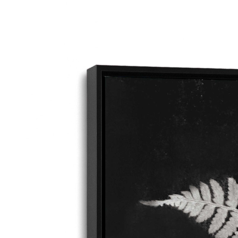 «Simple Fern» par Robin-Lee Vieira, reproduction d'art, 20 W x 30 H, Black, Framed Canvas