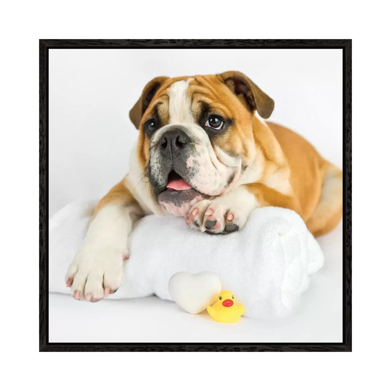 Donald by Rachael Hale - Print on Canvas, 93.98 cm H x 93.98 cm W, Black Framed
