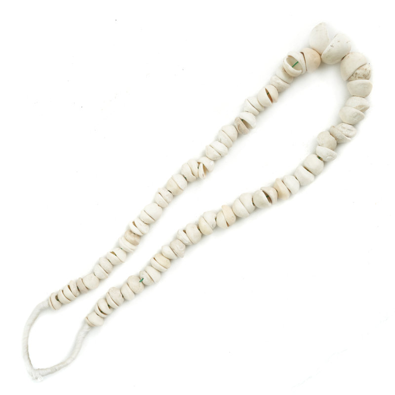 Lily's Living 15"L White Decorative Shell Strand From Ivory Coast, Home Accent Art Décor