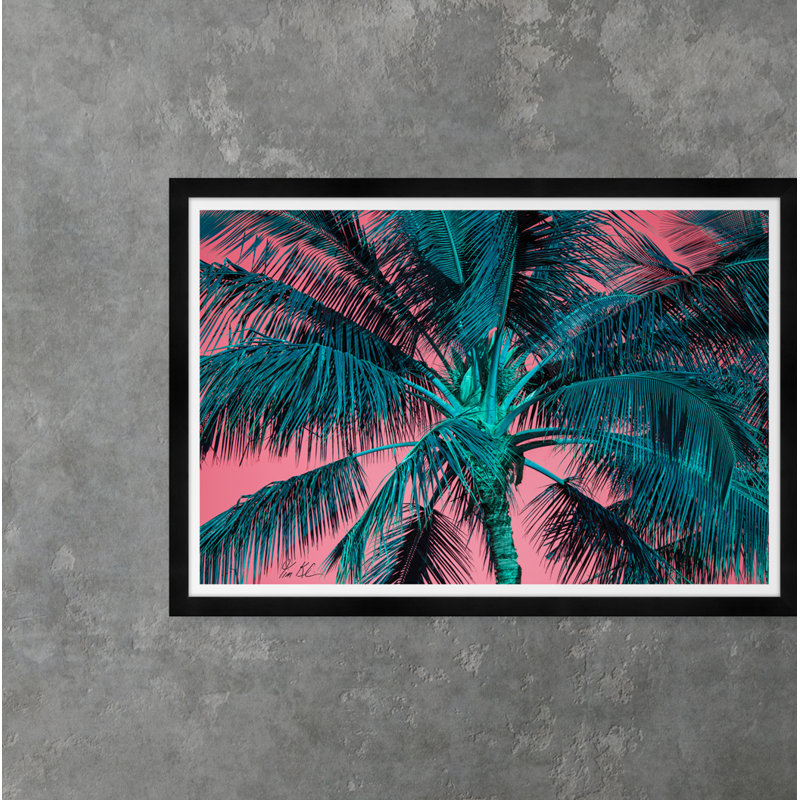 Tropical Palm In Pink & Blue Print