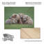 Renee Doyle Bear-1168644559