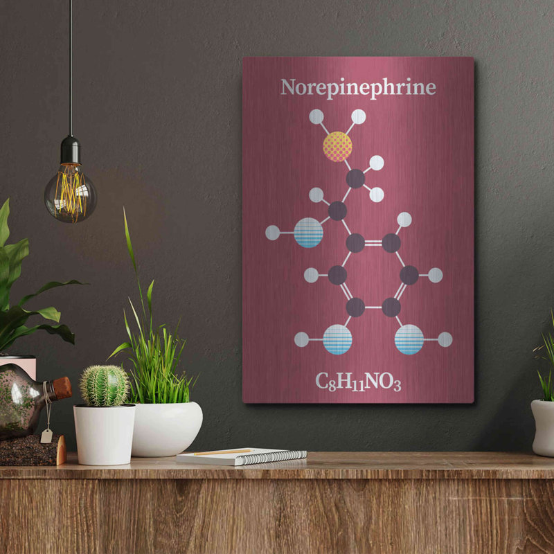 Trinx «Norepinephrine Molecule 2» par Luxe Portfolio, art mural en métal, H 16 po x l 12 po