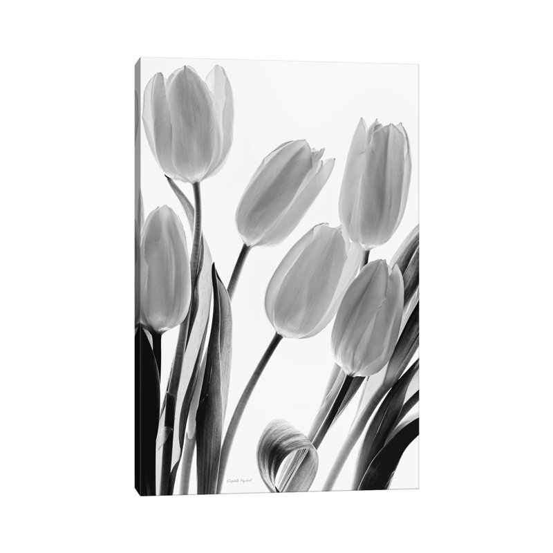 Shadows And Light I by Elizabeth Urquhart - Wrapped Canvas Print, 20.32 cm H x 30.48 cm W