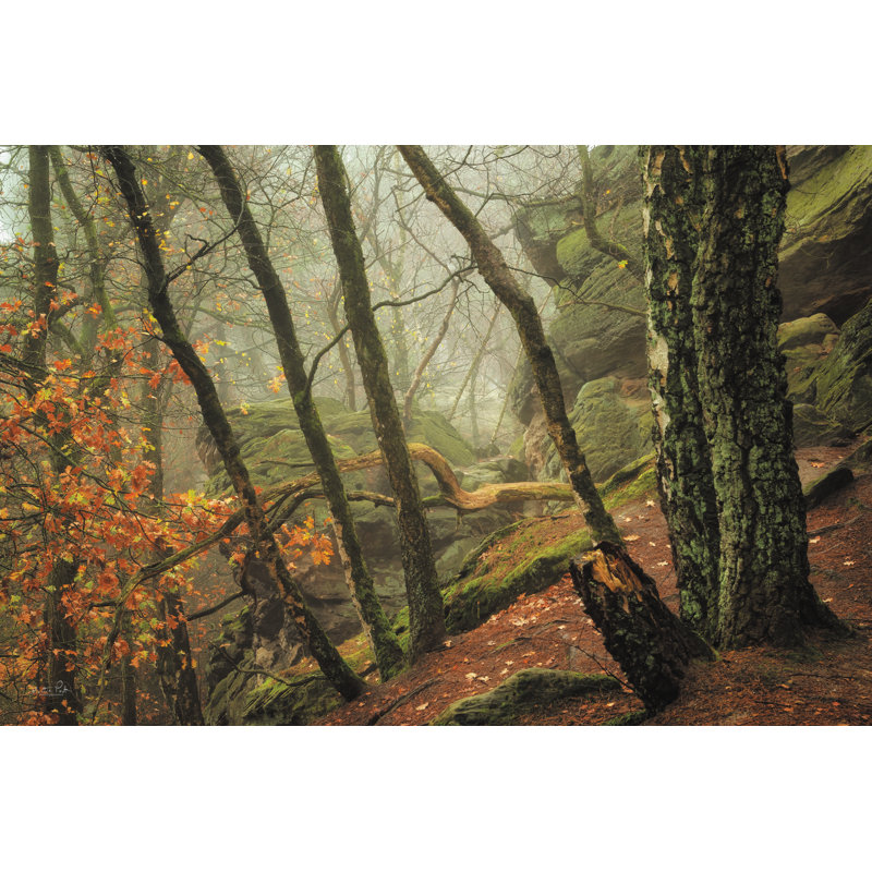Off Kilter par Martin Podt, H 32 po x l 48 po