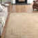 Batchtown Oriental Area Rug
