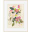 Fuschia Dog Rose 1 Print-587735598