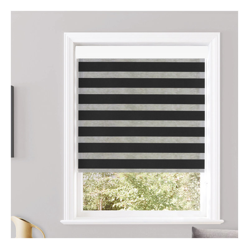 Store à enroulement semi-transparent Robbe, l 44 po x L 84 po, Noir