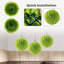 Boules en faux buis 11 po Primrue-735240296