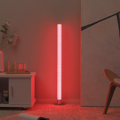 Aaydn 104cm Metal LED Floor Lamp