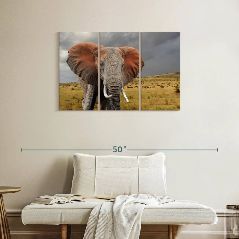 Éléphant d'Afrique, H 24 po x l 38 po