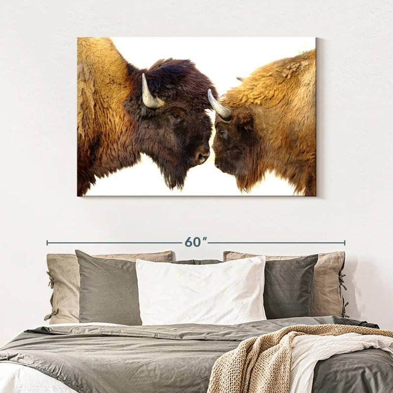 Brampt Bisons I, 32" H x 48" W