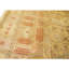Hand Knotted Wool Area Rug in Cream