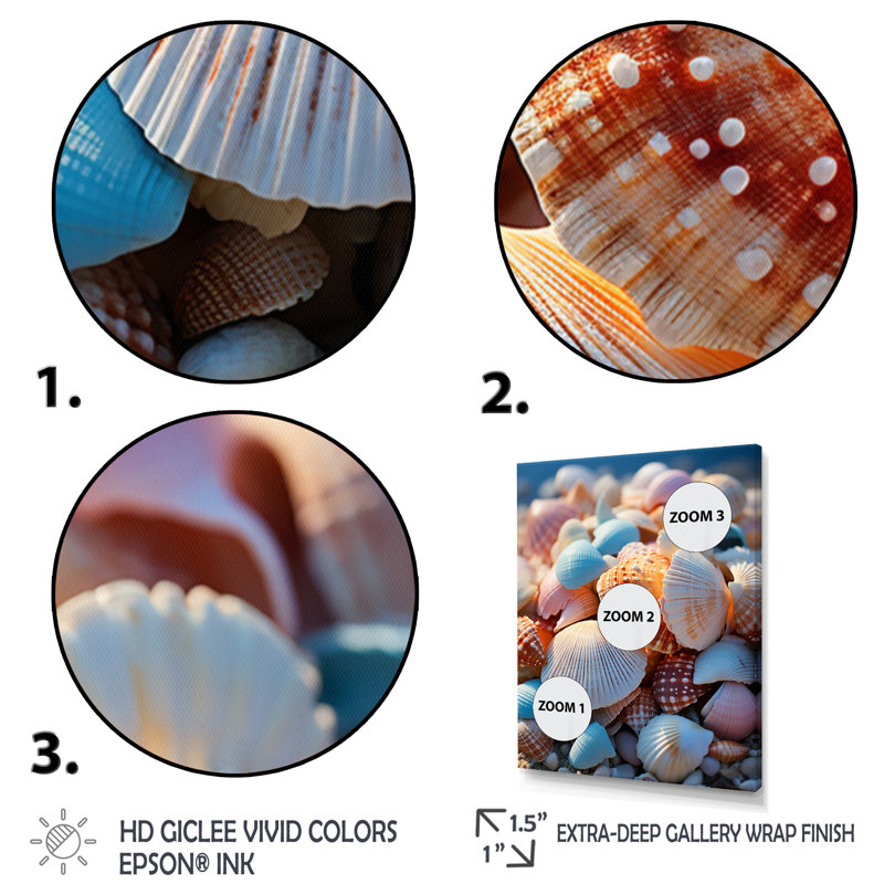 «Beach Photo Sunlit Shells III», reproduction sur toile, Cadre photo noir, L 12 po x H 20 po
