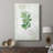 Fresh Oregano -Gallery Wrapped Cavas-1691238675