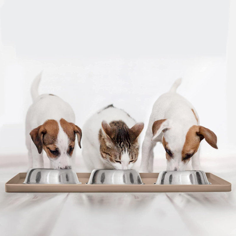 Bol pour animaux de compagnie antidérapant