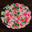 Vida Vinyl Round Placemats