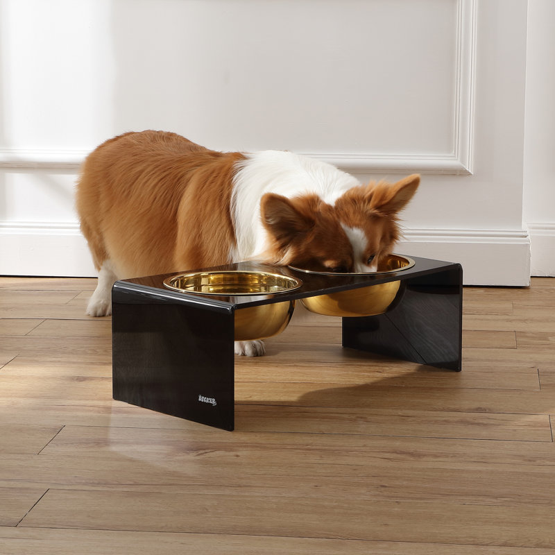 Keaton 7.5" Black and Gold Modern Elevated Pet Feeder with Stainless Steel Bowls