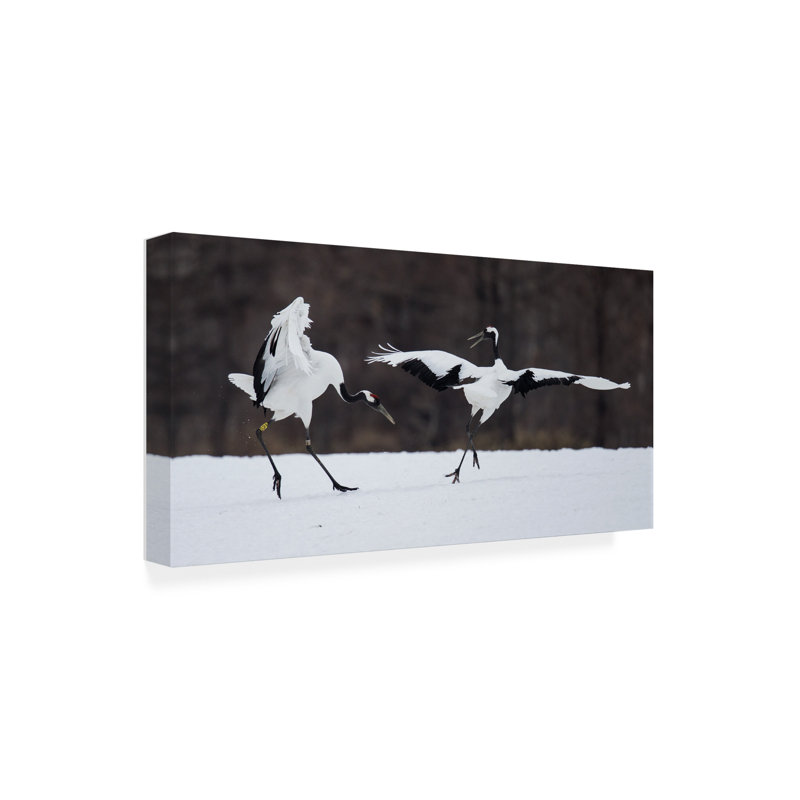 Art sur toile «bolche» C.S. Tjandra, H 12 po x l 24 po