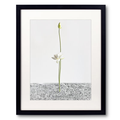 White Light #001 Print by Keiichiro Muramatsu