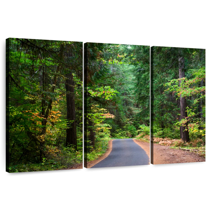 Harnek Oregon Pine Trees, 48" H x 74" W