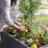 Lakewood Raised Planter Box