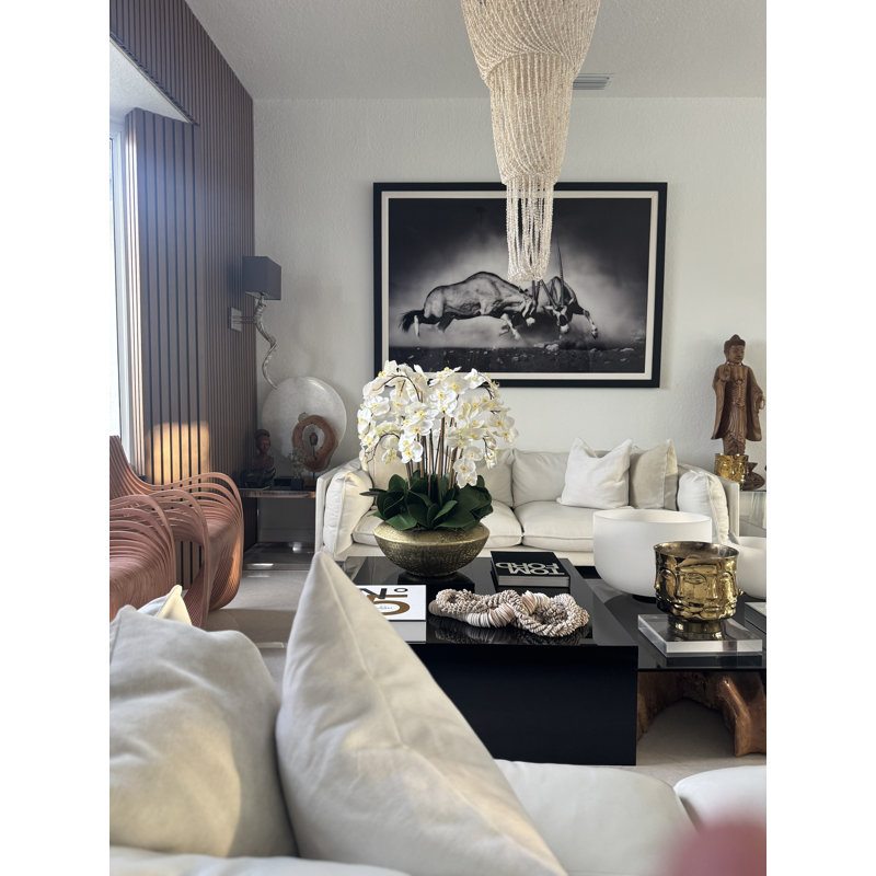Blaze Bowl With Phalaenopsis Orchids, White