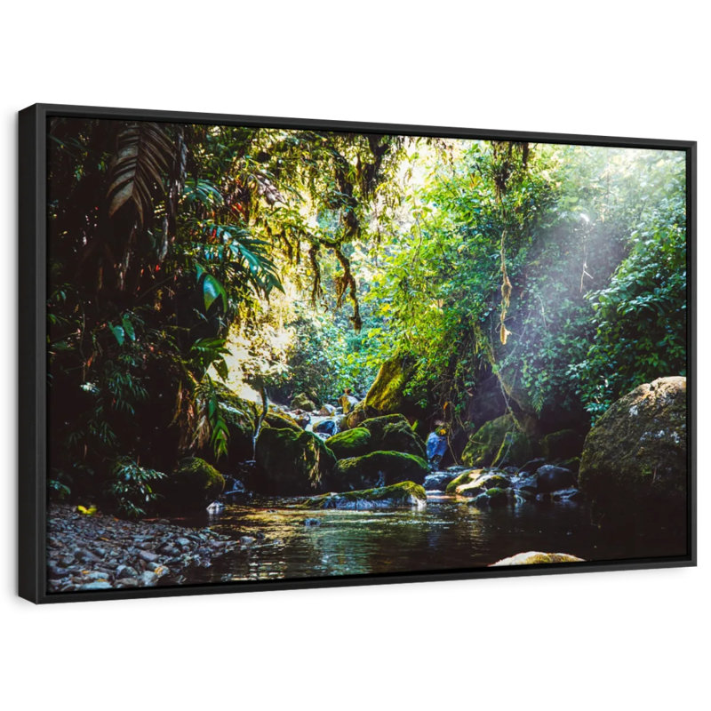 Forest In Panama Canvas Print, 9" H x 13" W