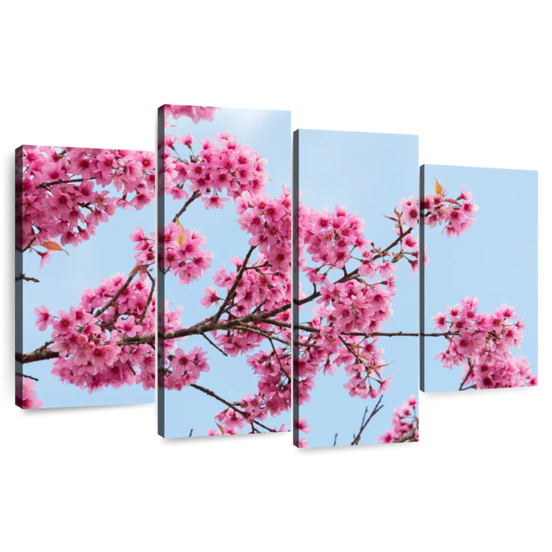 Harnek Himalayan Sakura, H 27 po x l 43 po