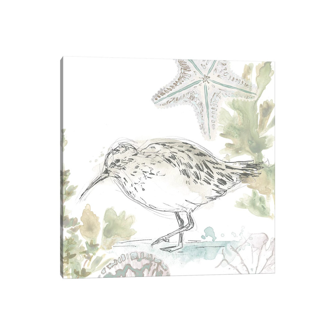Seaside Sandpipers II by June Erica Vess - Wrapped Canvas Print