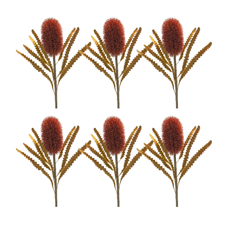 Banksia Steam