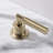 Widespread 2-handle Bathroom Faucet