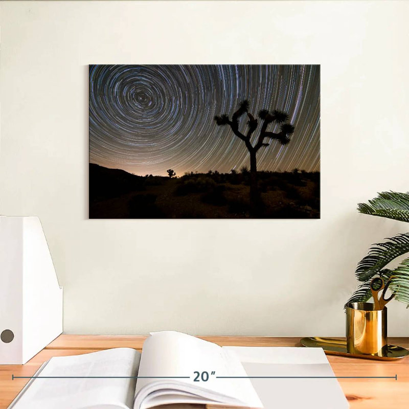Harnek Star Trails à Joshua Tree, H 8 po x l 12 po