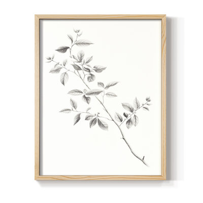 «Vintage Floral Print LX» sur papier