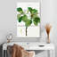 Harnek Magnolia Glauca-108649638