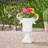 Elegant Style Planter-1701238159
