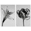 Peeking Flowers Set Set by Oliver Gal-351033426-351033444