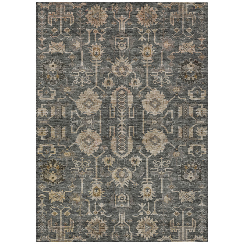 Myda Washable Oriental Indoor / Outdoor Rug, Rectangle 3' x 5'