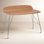 Earl of Wood 46.86 " Writing Desk